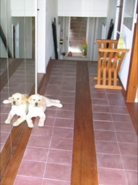 mosaico hidráulico monocromático bordeaux ref 716 aplicado num corredor numa casa na Dinamarca