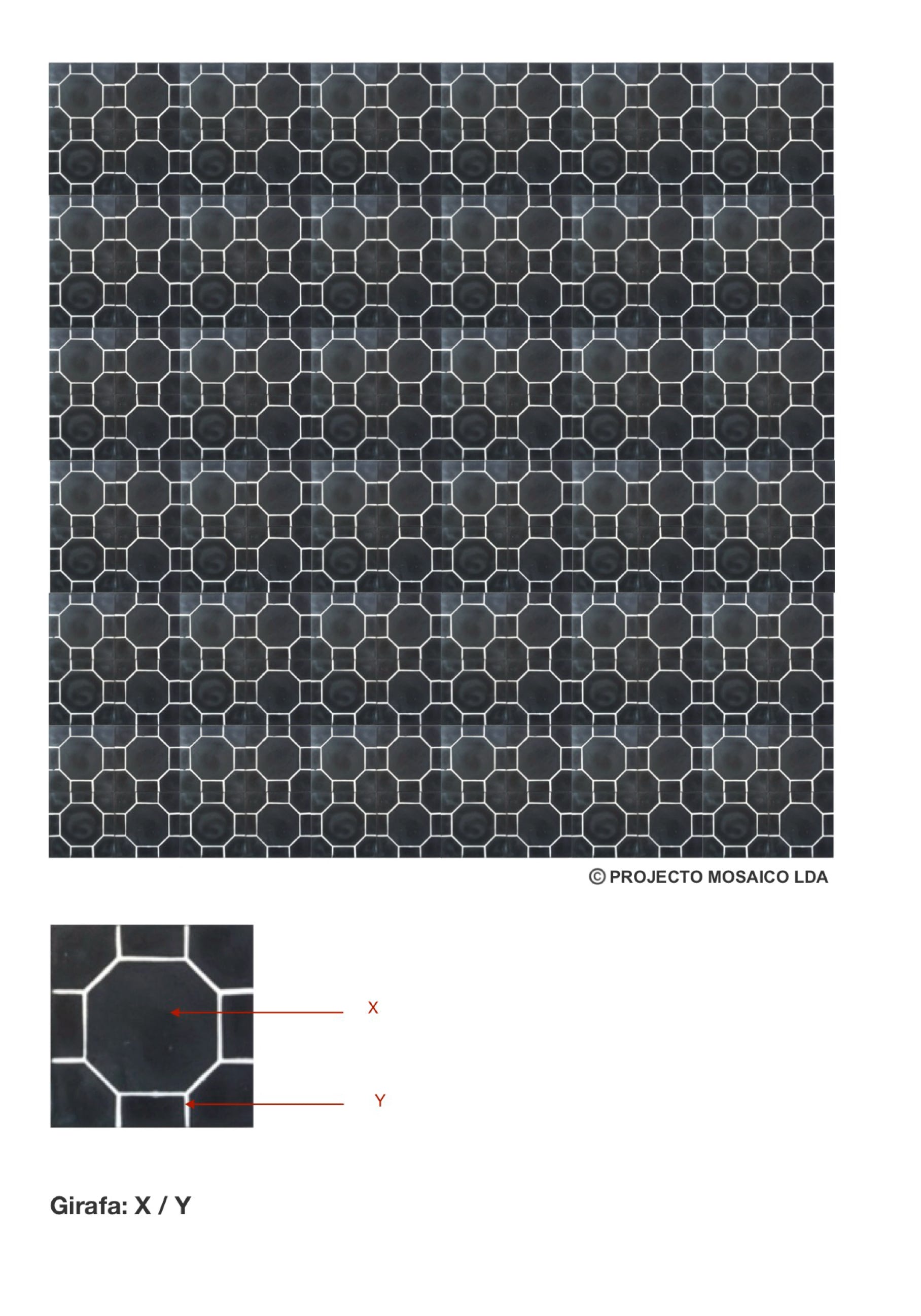 illustração de aplicação do mosaico hidráulico ref: Girafa