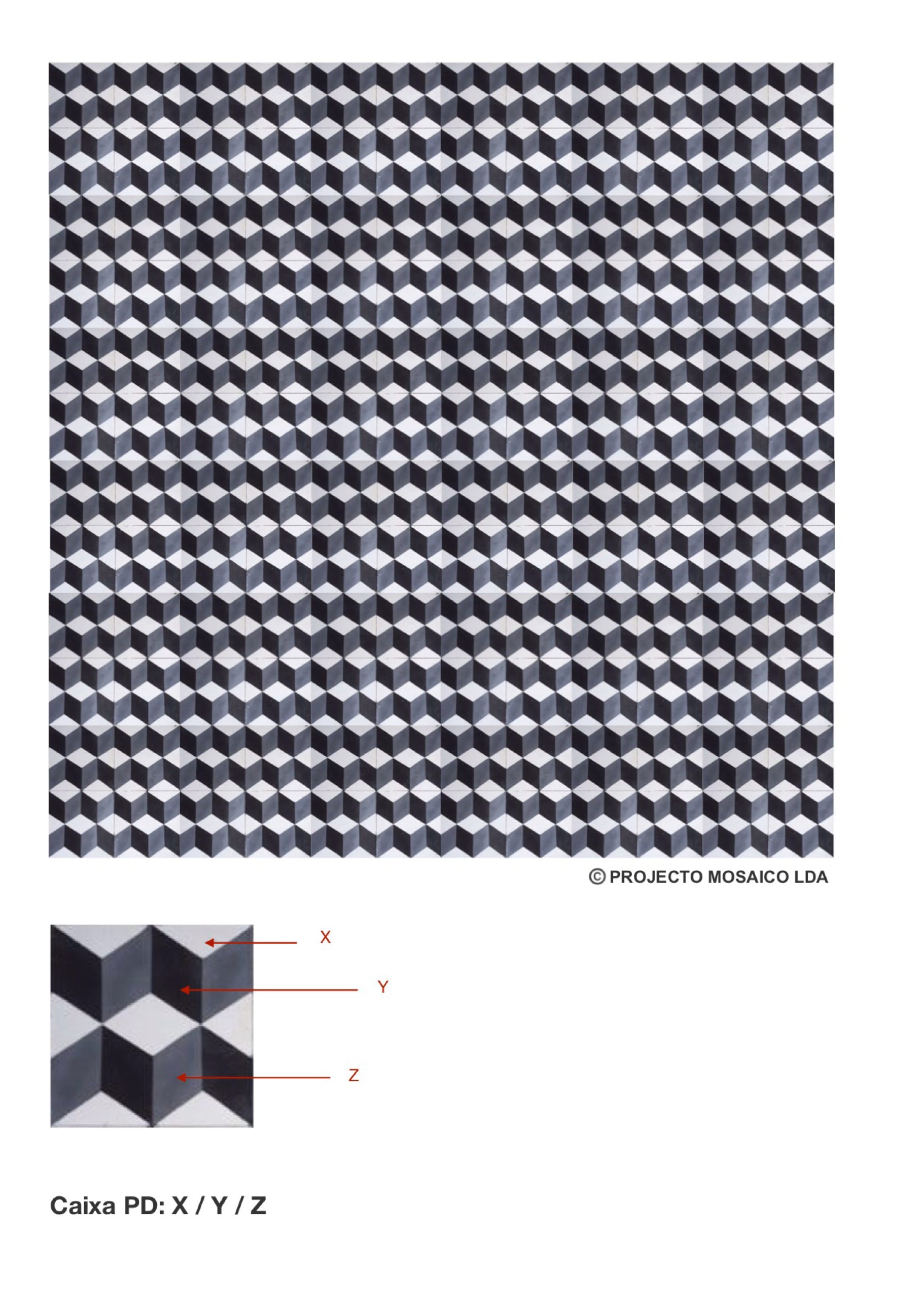 illustração de aplicação do mosaico hidráulico ref: Caixa PD