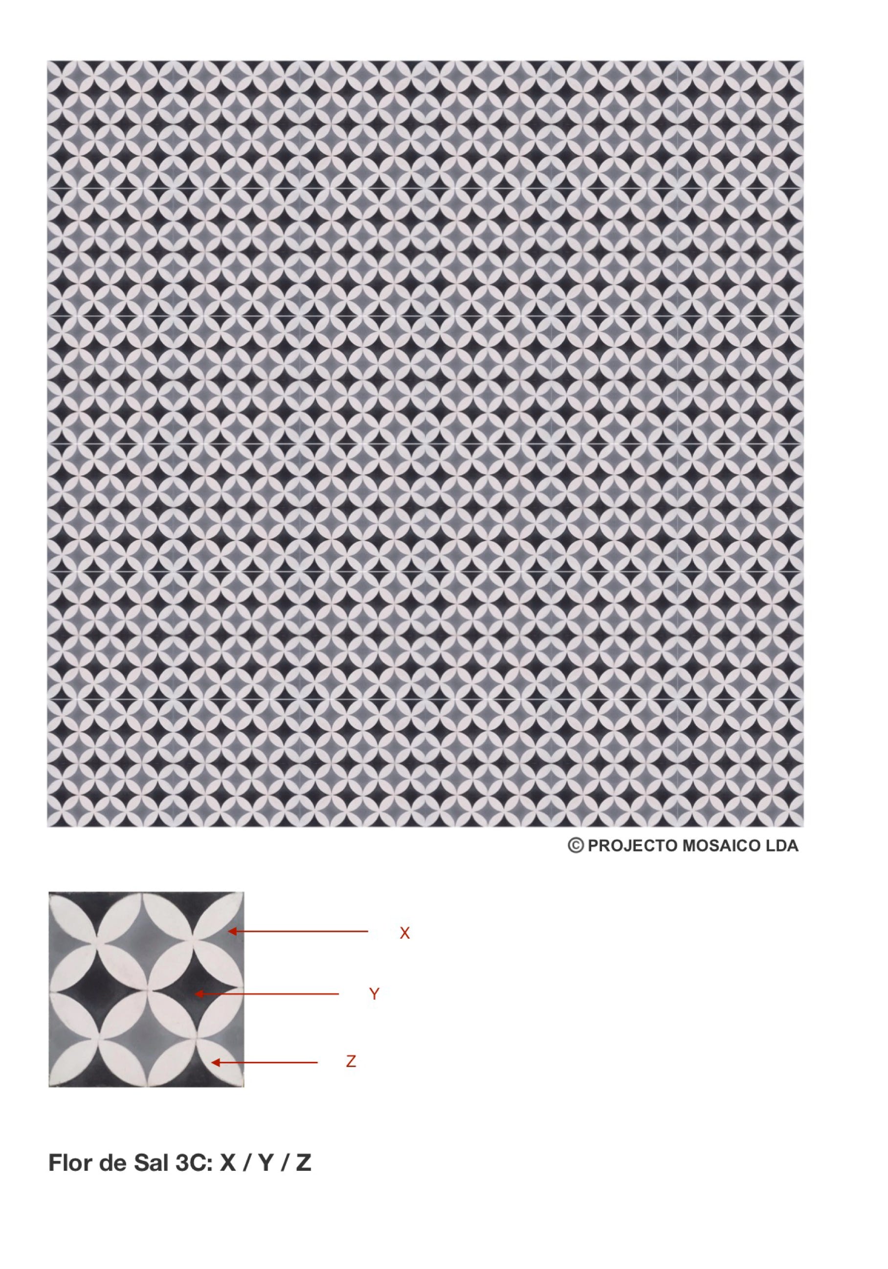 illustração de aplicação do mosaico hidráulico ref: Flor de Sal 3C