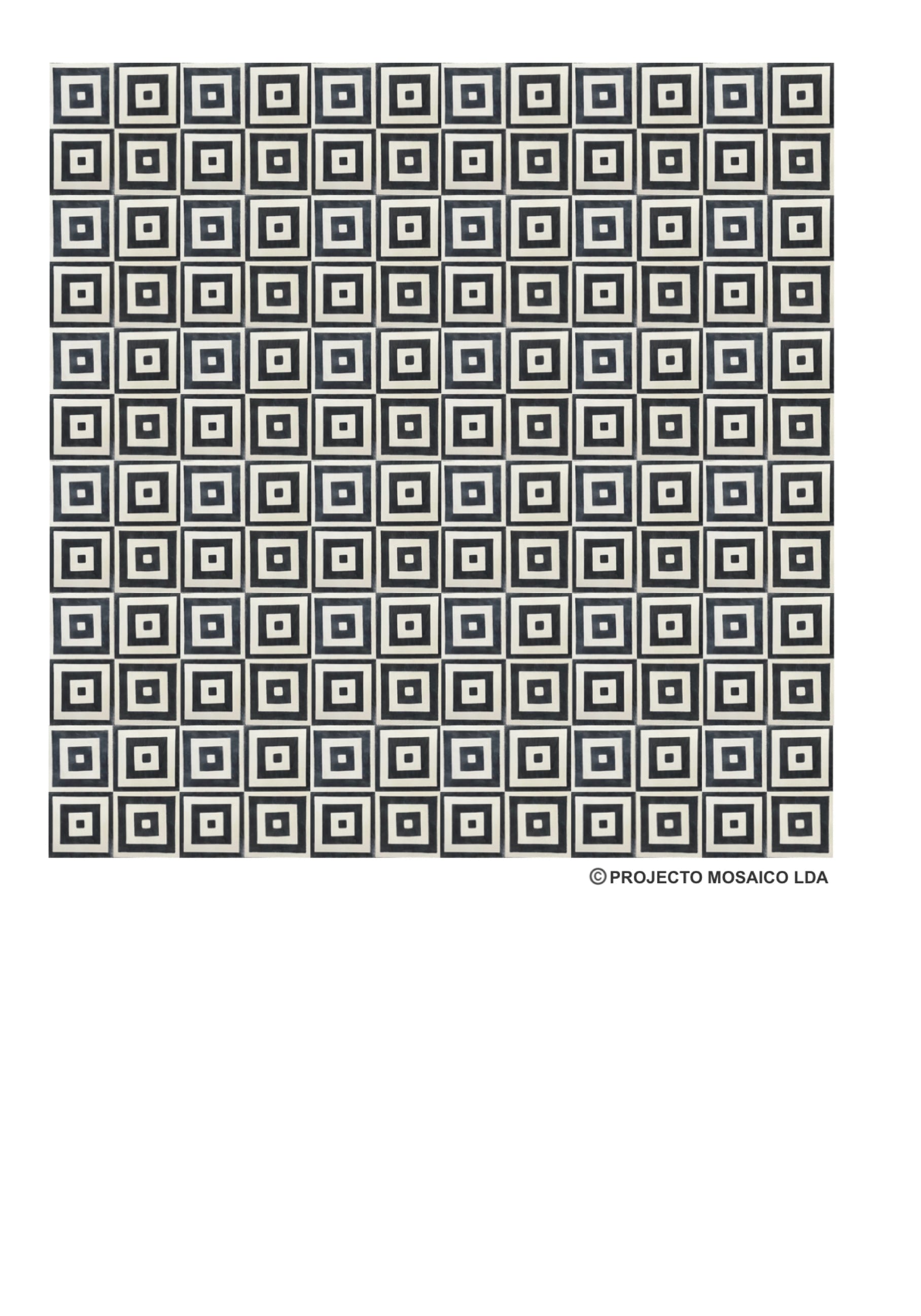 illustração de aplicação do mosaico hidráulico ref: Riscas P